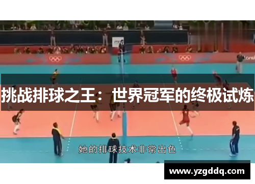 挑战排球之王：世界冠军的终极试炼