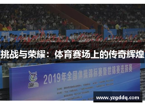 挑战与荣耀：体育赛场上的传奇辉煌