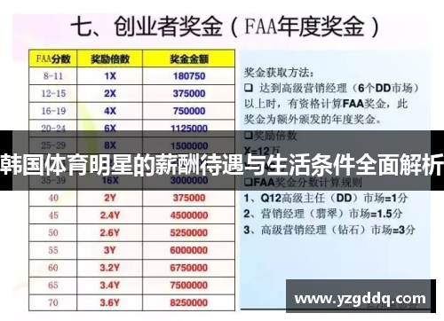 韩国体育明星的薪酬待遇与生活条件全面解析